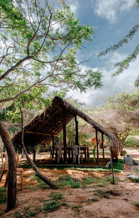 Sarada Beach Resort Yala ティッサマハーラーマ エクステリア 写真