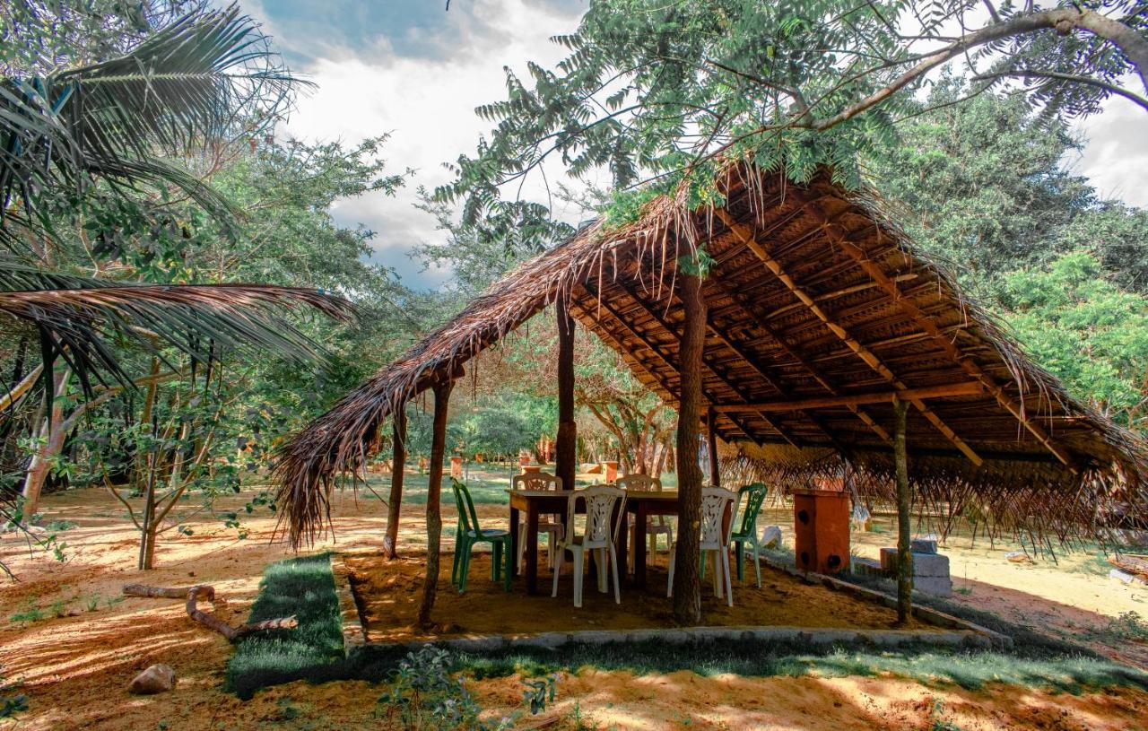 Sarada Beach Resort Yala ティッサマハーラーマ エクステリア 写真