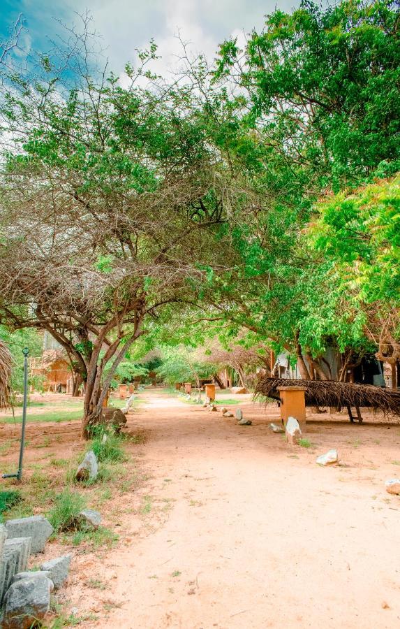 Sarada Beach Resort Yala ティッサマハーラーマ エクステリア 写真