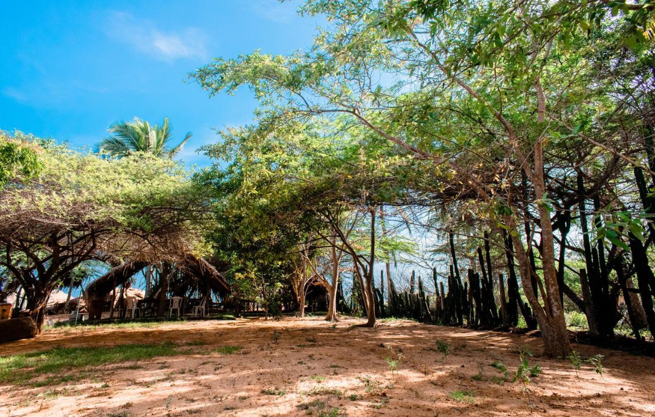 Sarada Beach Resort Yala ティッサマハーラーマ エクステリア 写真